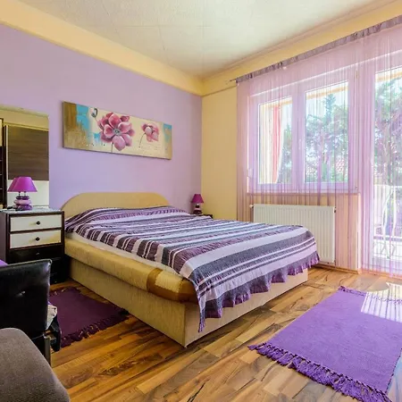 Apartment Senka